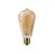 philips Led-lampa led bulb classic d 5.5-25w st64 e27 gold sp cl