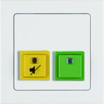 CANCELLATION/PRESENCE BUTTON SIGN. YELLOW/GREEN UK WHITE