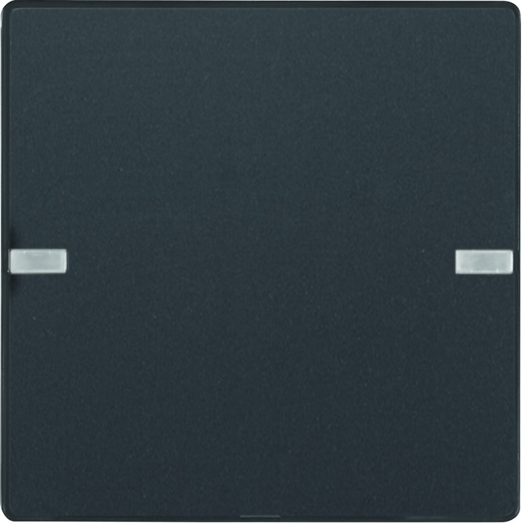 hager Painike knx q.1/q.3 2-pain. mi/rgb-mv ant.