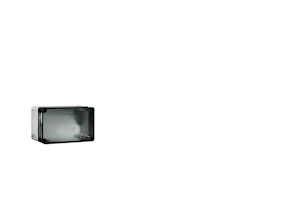 rittal Poly karb boks gr.l 254x180x165 pk kobl boks ritta