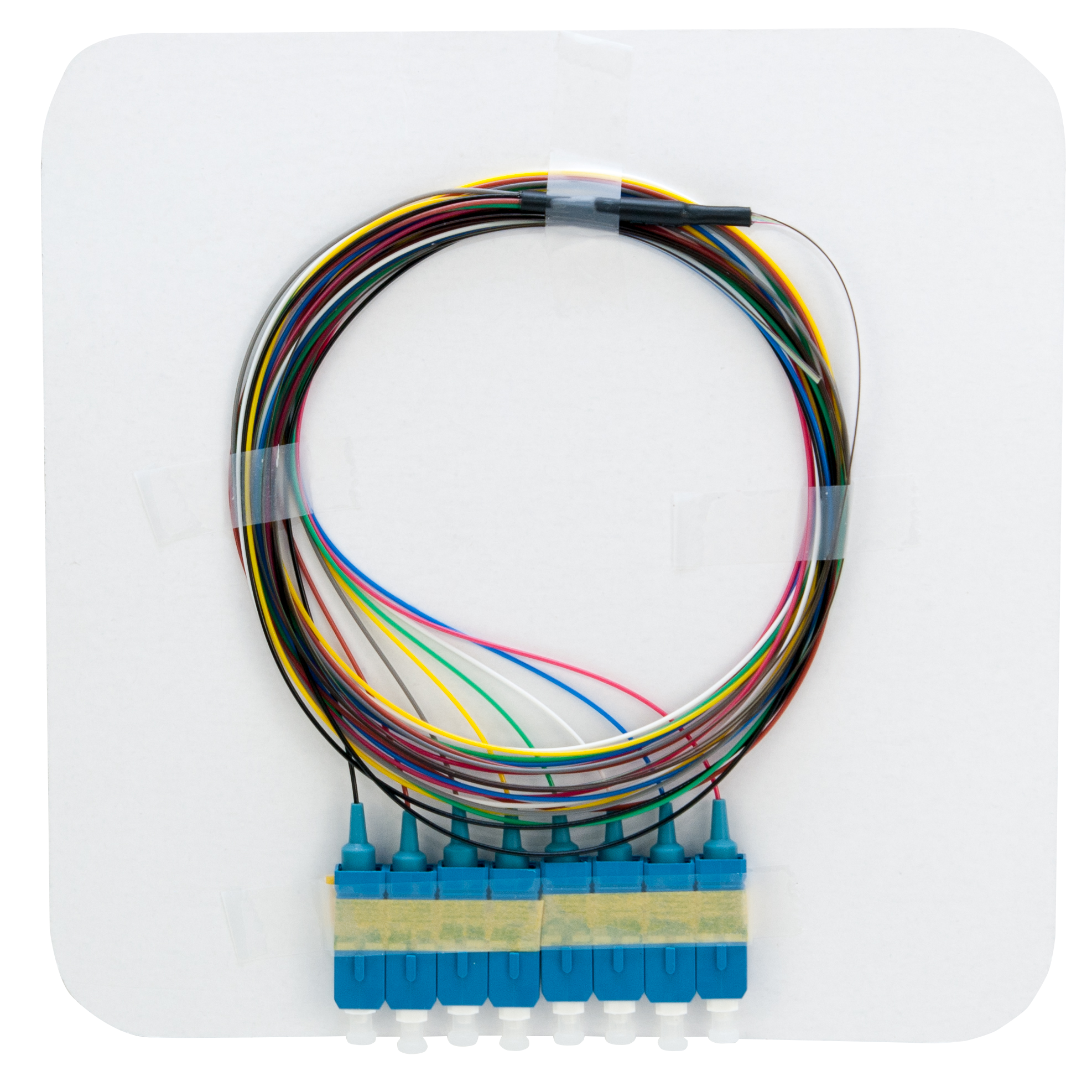 FANOUT SM 8XSC/UPC G657A 2M .