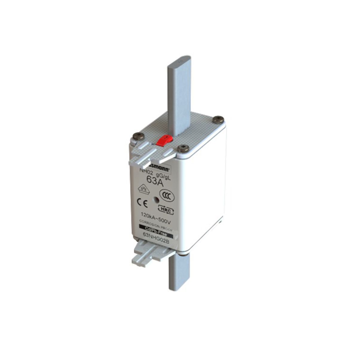 NH-02 500V GG/GL 63A