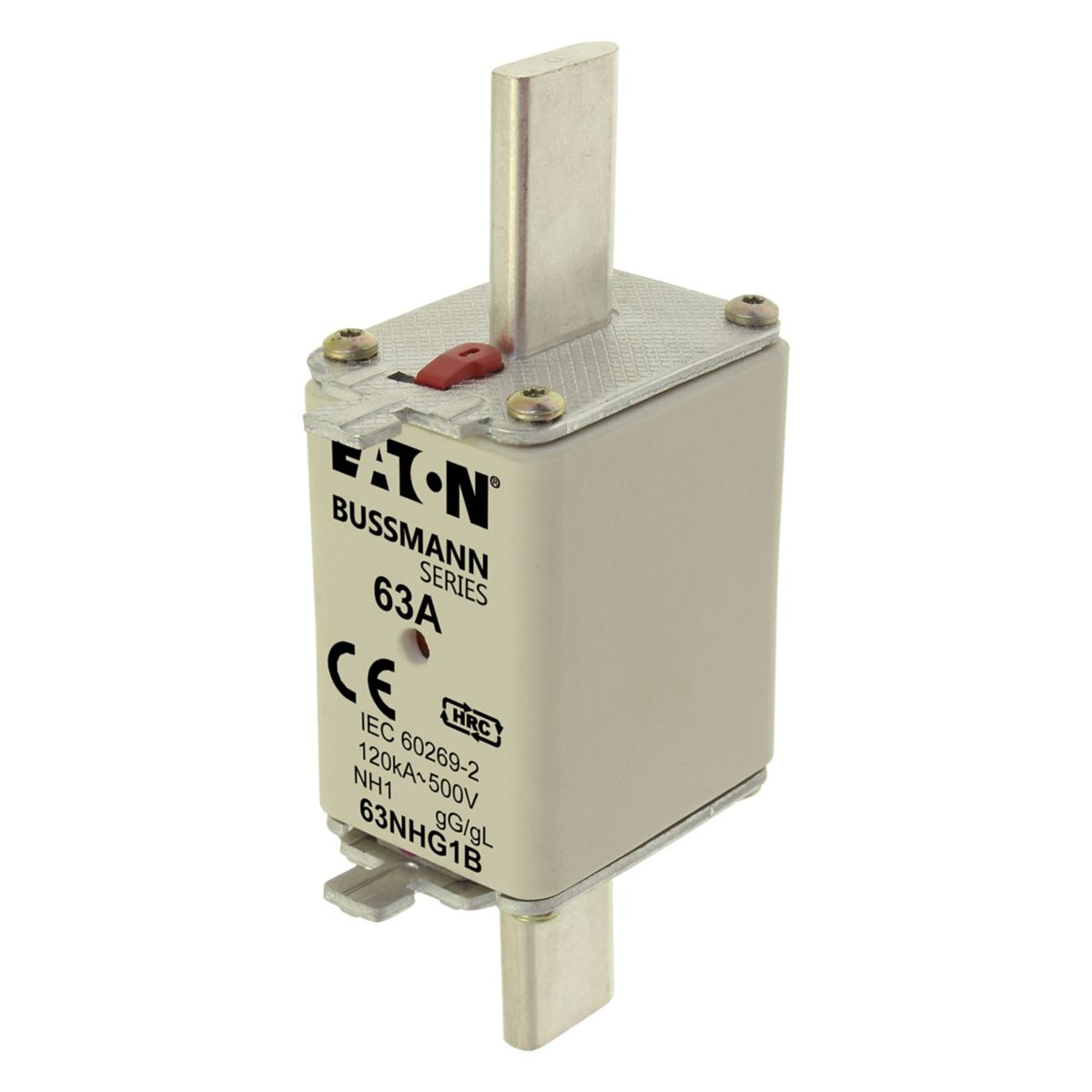 NH-1 500V GG/GL 63A