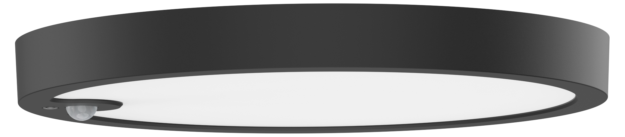 Ring Lite 12/225 PIR, sort