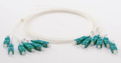 SVANSFIBER SET 12x SC-APC SM OS2 1m