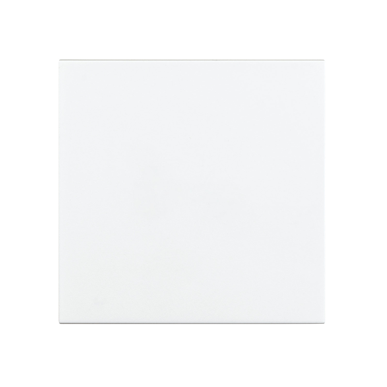 VIPU INSTALL SWITCH BUTTON 1 POLE WHITE