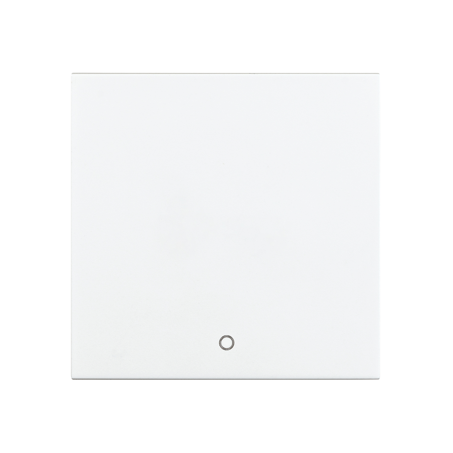 VIPU INSTALL SWITCH BUTTON 2 POLES WHITE