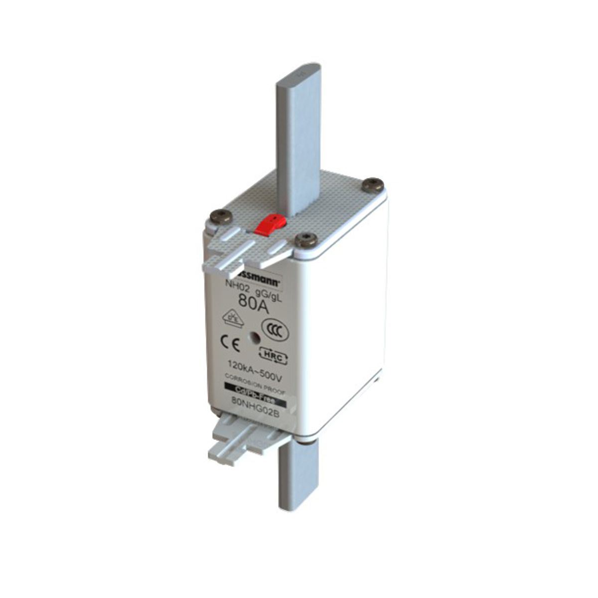 NH-02  500V gG/gL 80A