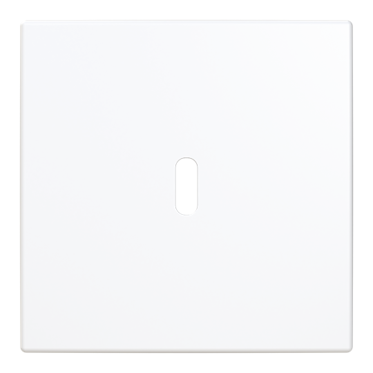 SAGA® sentralplate for USB-C PD lader 6479-916-510