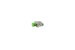 teleste Adapter-fo 52900181 fc/apc-sc/apc adaptor