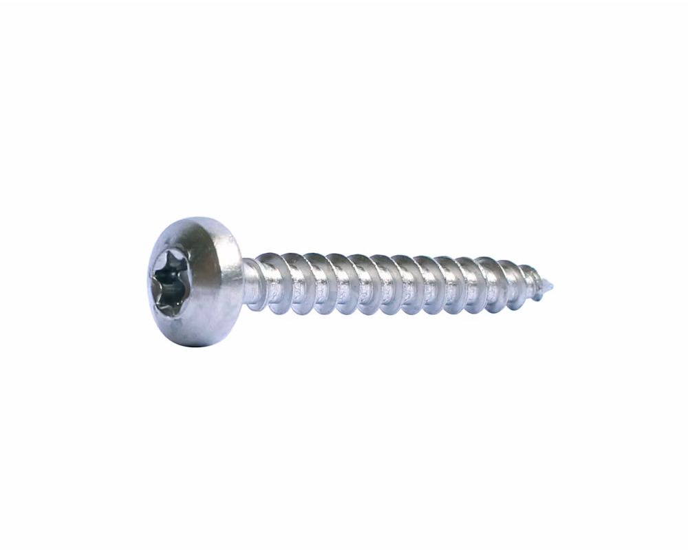 PANHEAD SCREW PROF A2 T20 4X40 200PCS
