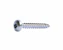 prof Panhead screw prof a2 t20 4x40 200pcs