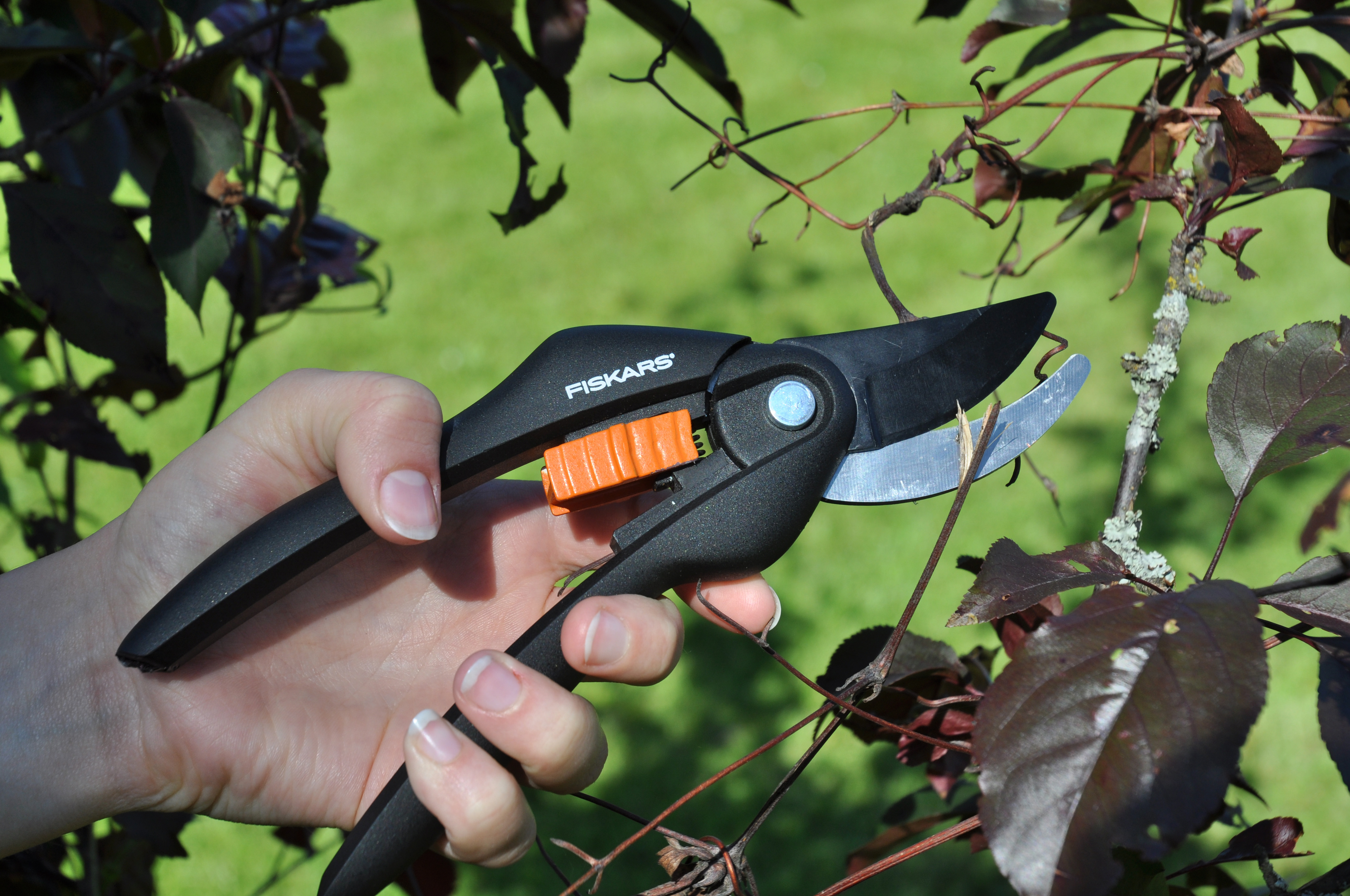 fiskars Pruner fiskars singlestep bypass 1000567