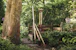 fiskars Potato hoe fiskars classic