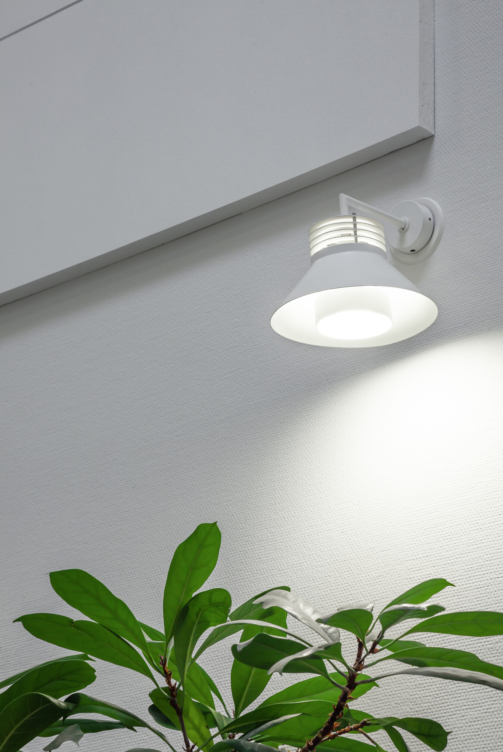 airam Led-lamp plant par16 840 400lm gu10 plant op