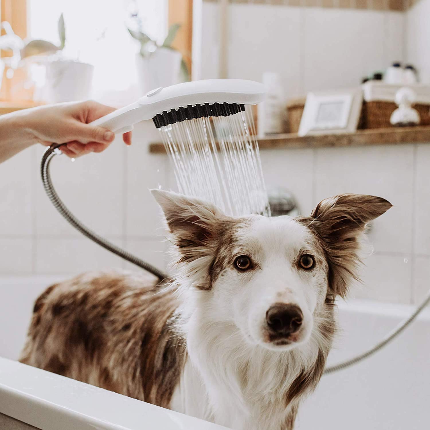 hansgrohe Hunddusch hansgrohe dogshower 150 3jet select