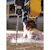 dewalt Poravasaranterä dewalt extreme2 sds 7x110mm