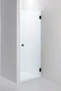 inr Shower wall arc 2 clear, black, 800x2000