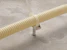 castor Stripsfeste esd 30
