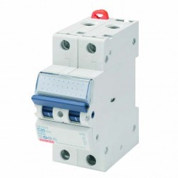 MCB GW92053 2X63A C-CURVE 6KA