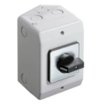 REVERSING SWITCH W3/16PL/D2/F604
