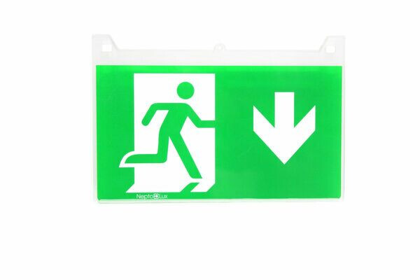EMERGENCY LIGHT N40GR-D1, EXIT SIGN SYMBOL DOW