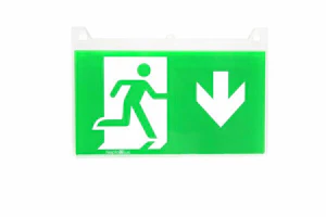 neptolux Emergency light n40gr-d1, exit sign symbol dow