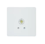 NÖDLJUSARMATUR SLIMSPOT II TWSA592WM 230 VAC/DC IP20 1H