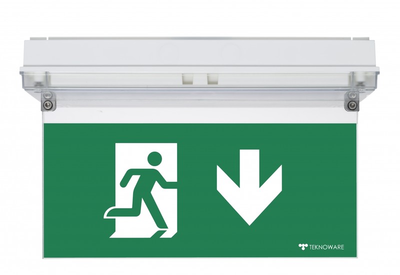 OPASTEVALAISIN SOLID EXIT TWS3192WA 230VAC IP65 1H
