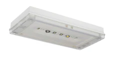 EMERGENCY LUMINAIRE SOLID ZONE LOWBAY TWT3241WK 24V IP65