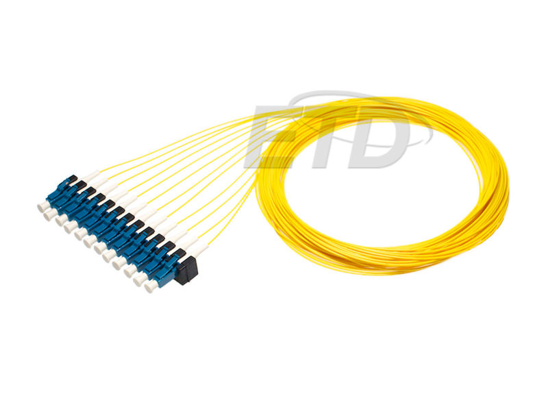etd Pig tail (fiber) pigtail set 12xlc sm 2m