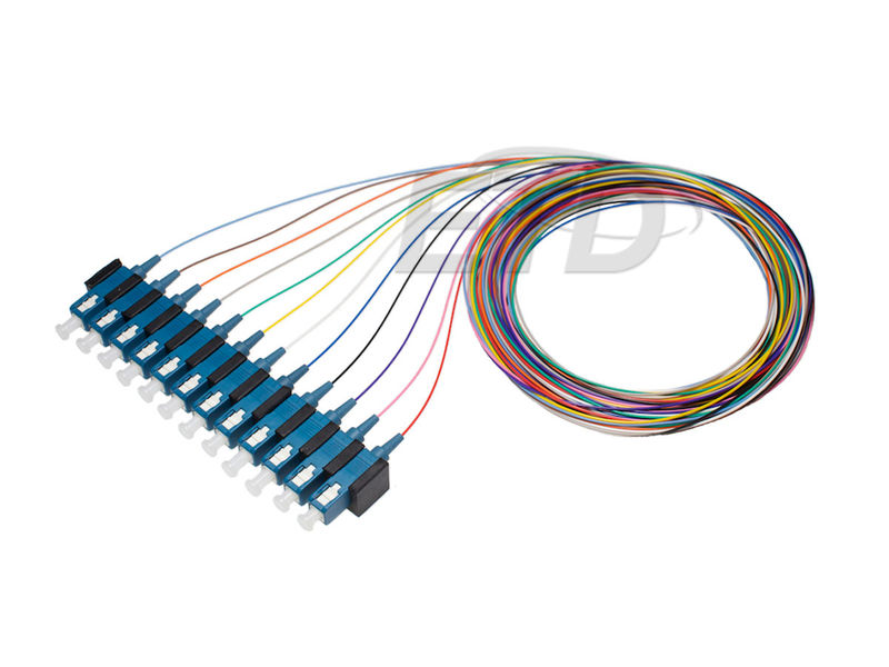 etd Pig tail (fiber) color tails 12xsc sm 2m