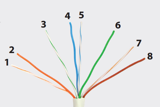 televes Kontaktdon-cat6 rj45 utp cat6 hane