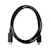 televes Vahvistintarvike finnsat microusb-b/usb-c otg 1m avant