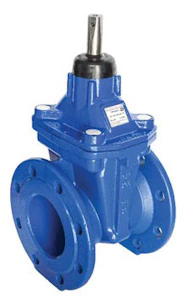 saint-gobain pam Gate valve flanged euro 20 new dn300 pn10