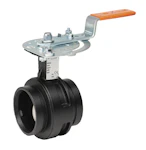 BUTTERFLY VALVE SERIES 761 200