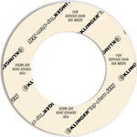 FLANGE GASKET PTFE KLINGER DN250 PN40 TOP-CHEM2003 2,0
