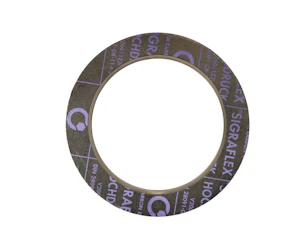 tt gaskets Graphite gasket hochdruck dn125 pn25-40 inner eyelet