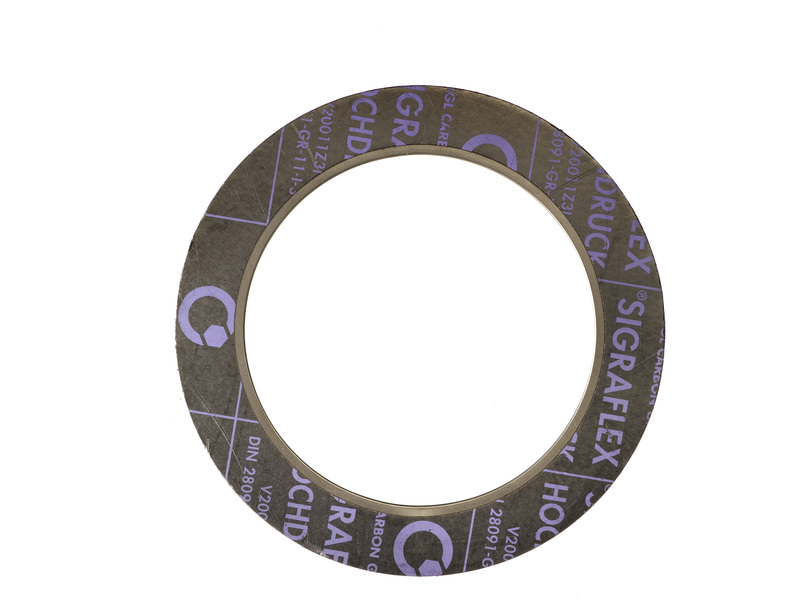GRAPHITE GASKET HOCHDRUCK DN200 PN40 INNER EYELET