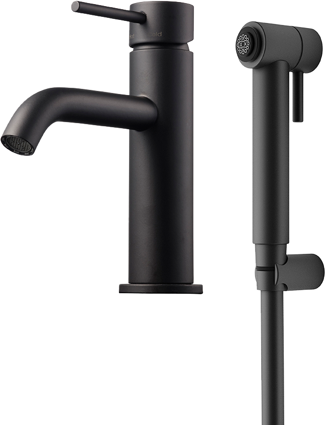 PESUALLASHANA TAPWELL EVM069 MATTE BLACK BIDÉ