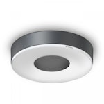CEILING/WALL LUMINAIRE RS 200 C 3K IP54 ANT