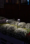 GARDEN LIGHT SAAS POWER MOON 920 3K