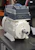 vacon Frekvensomriktare vacon 100 x 11kw/23a, ip66, hmgr