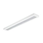 SURFACE MOUNTED LUMINAIRE 28S 34S 40S/830 PSD W20L150 OC