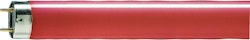 FLUORESCENT LAMP T8 PHILIPS TL-D 36W/15 RED