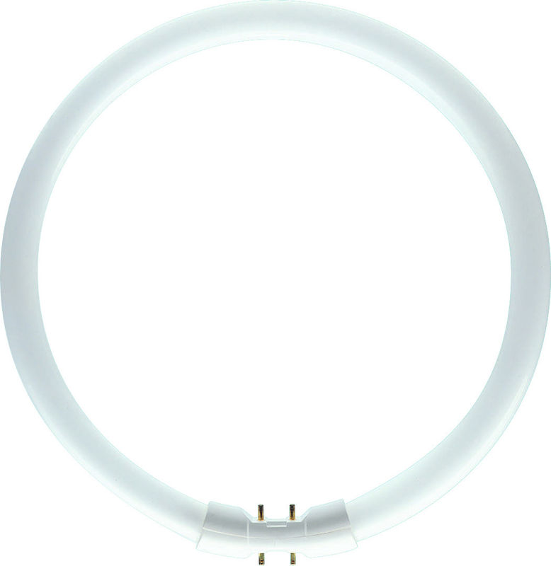 philips Ringneonlampa philips tl5 c 22w/840 2gx13
