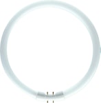 CIRCULAR NEON LAMP TL5C 55W/830 2GX13