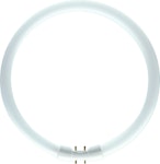 CIRCULAR NEON LAMP TL5C 60W/840 2GX13