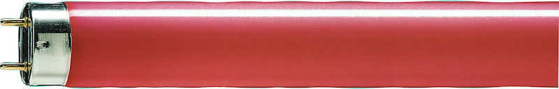 philips Fluorescent lamp t8 philips tl-d 58w/150 g13 red