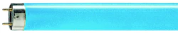 FLUORESCENT LAMP T8 PHILIPS TL-D 58W/180 G13 BLUE